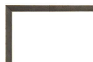 Afbeeldingslijst
