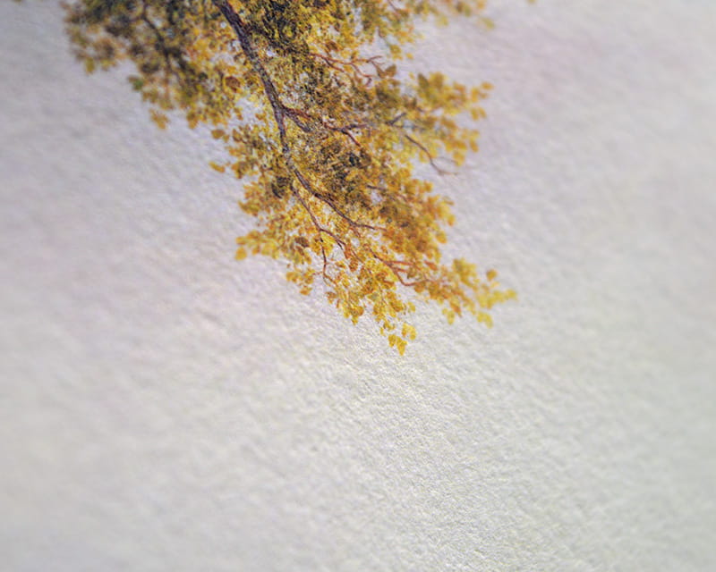 Kozo White, 110g (Mulberry vezelpapier, wit)  14