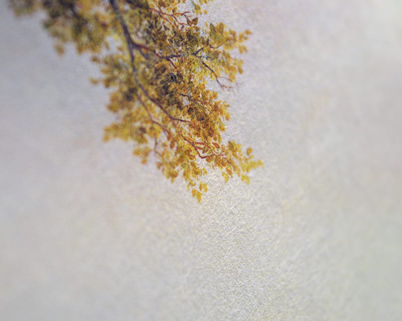 Murakumo Natural, 42g (Dun Japans papier, naturel)  14