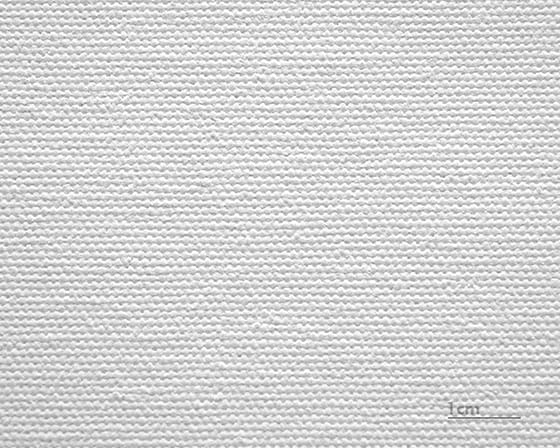 Canvas Salvador (mat)