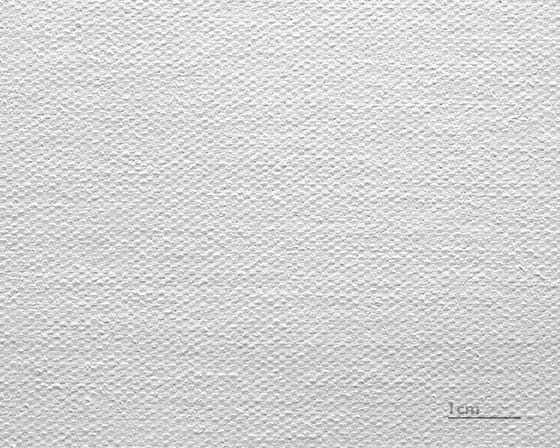 Canvas Leonardo (satijn)