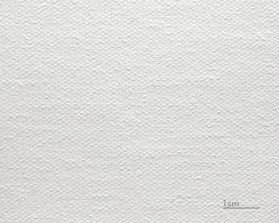 Canvas Raphael (mat)