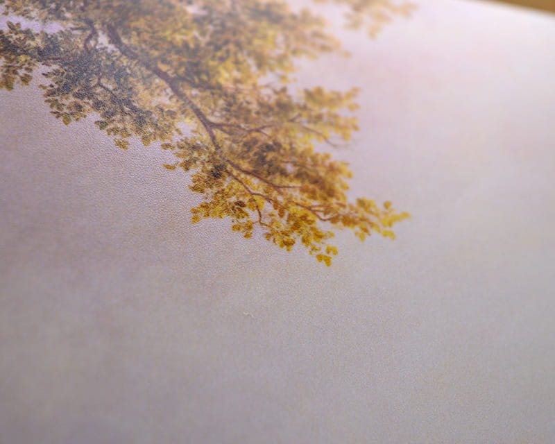 FineArt Photo satin (Photo Pearl 300)  24