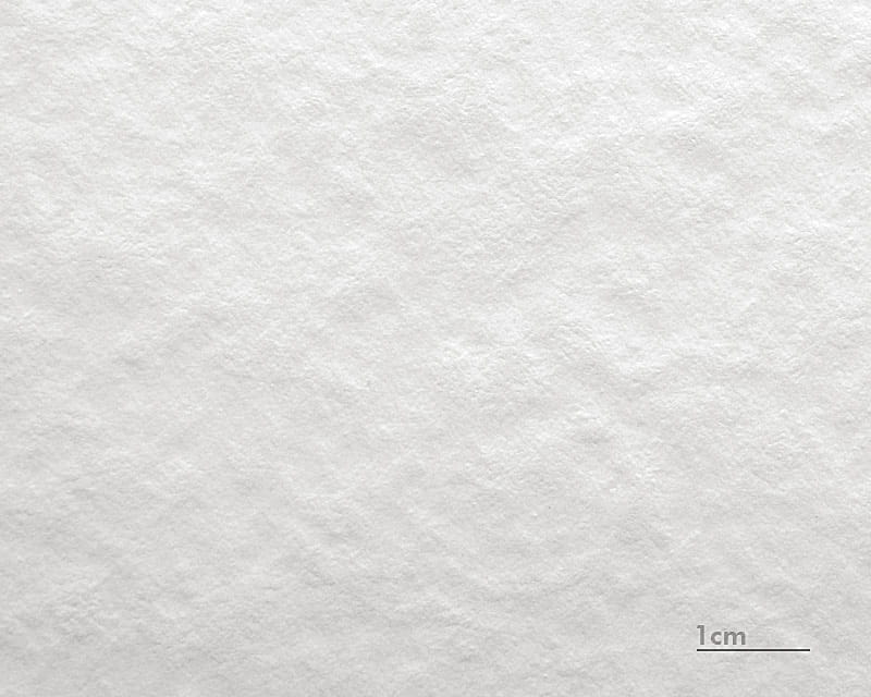 Aquarel Karton Munch (Hahnemühle Torchon 285)  1