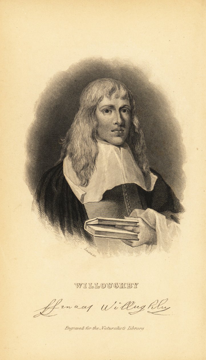 Francis Willughby of Willoughby, Engelse ornitholoog en ichthyoloog, 1635-1672 door Unknown
