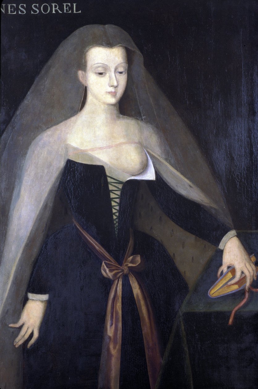 Indre & Loire N* 081 - Kasteel van Loches - Portret van Agnes Sorel - door Francois Clouet (1520-1572) door Unknown
