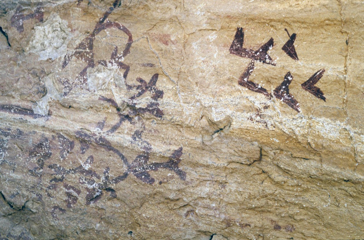Los Letreros-grot, nabij Velez Blanco, Andalusië, 4000 v.Chr., grotschilderingen van vogels door Unknown