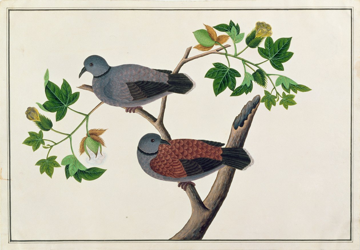 Vogels in een boom, uit Tekeningen van Vogels uit Malakka, c.1805-18 door Chinese School