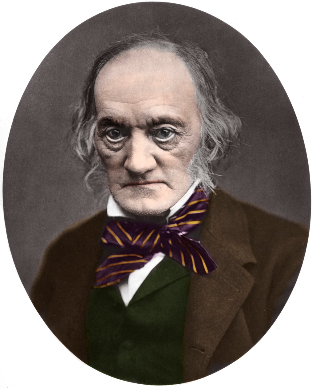 Portret van Sir Richard Owen (1804-1892), Britse paleontoloog en anatoom door French Photographer