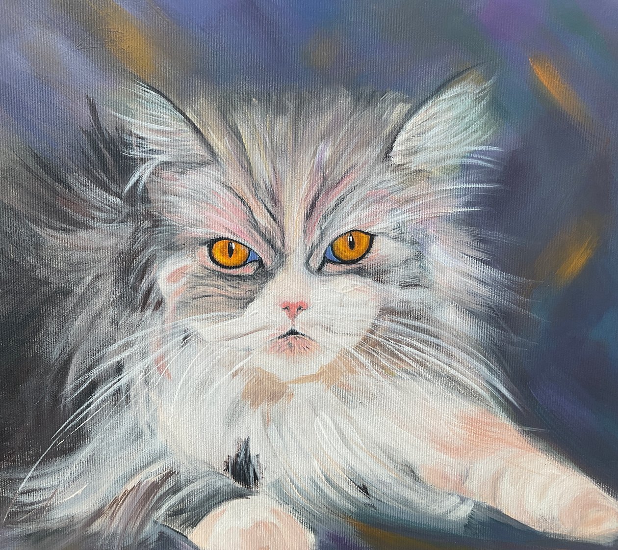 Maine-coon kat door H.Opitz