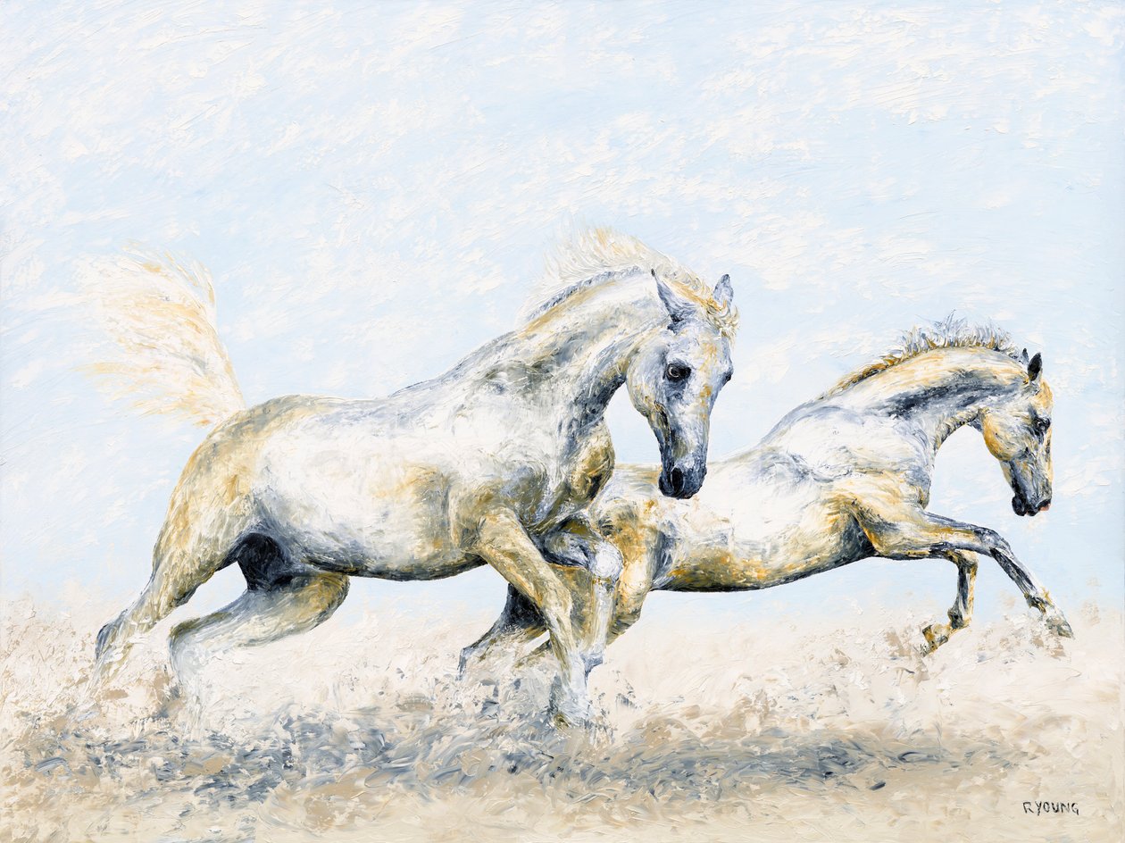 Arabische ridders door Richard Young