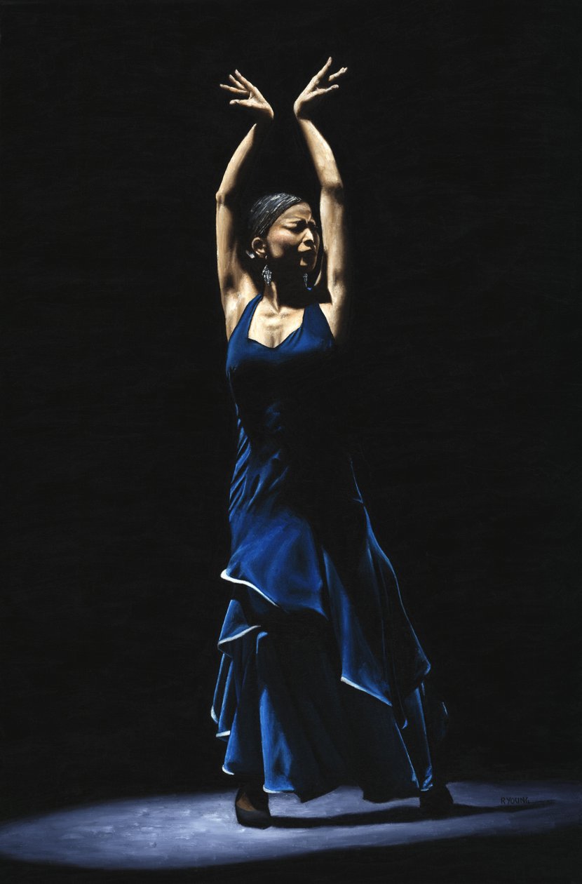 Flamenco solo danser door Richard Young
