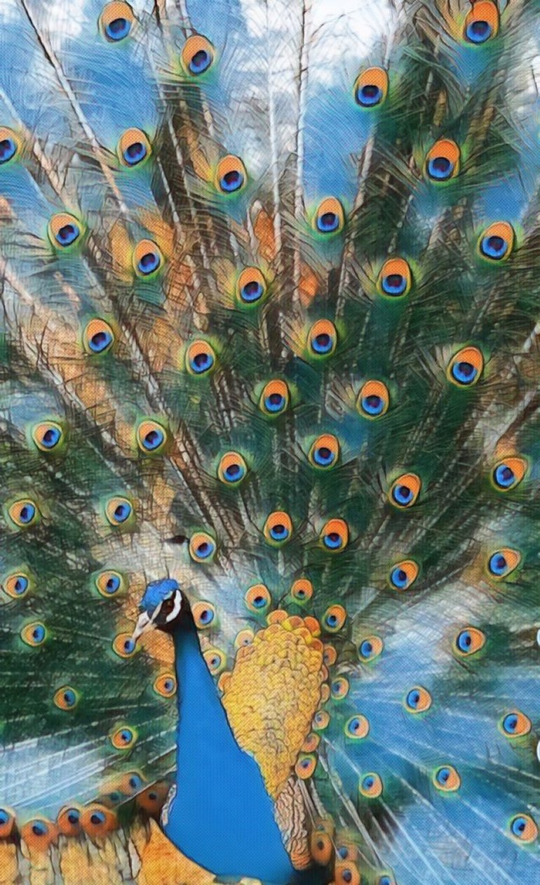 Pavo Real. door Margareta Uliarte