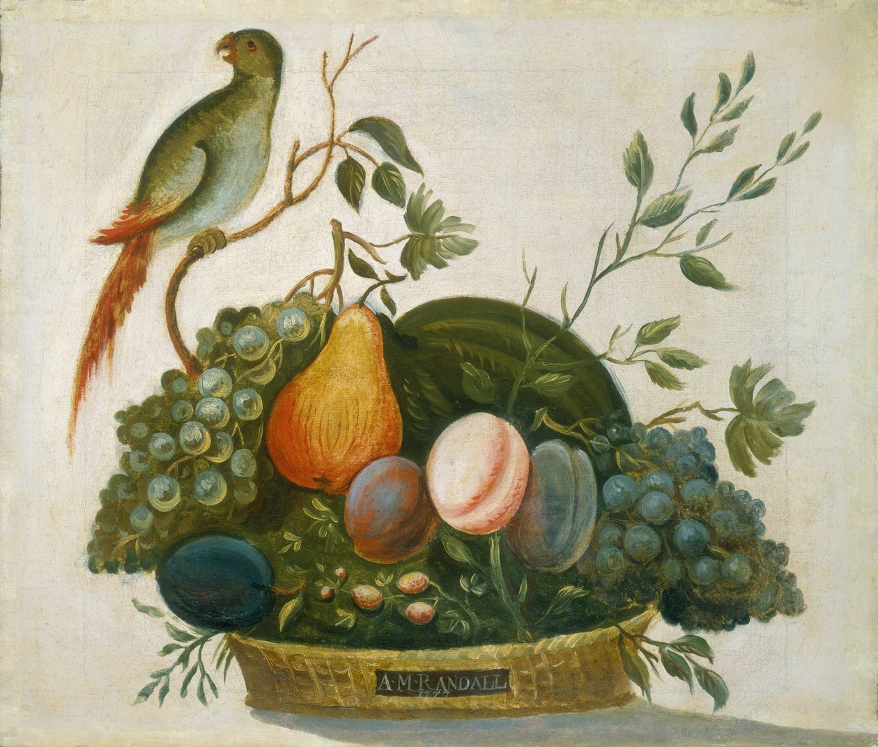 Mand met fruit en papegaai door A.M. Randall