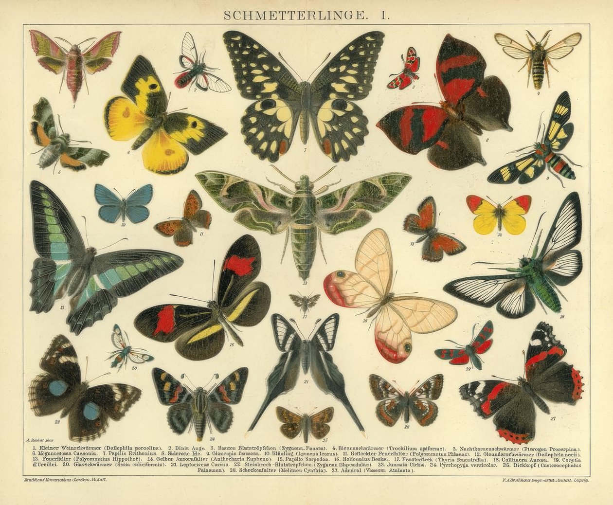 Vlinders. I. door A. Reichert