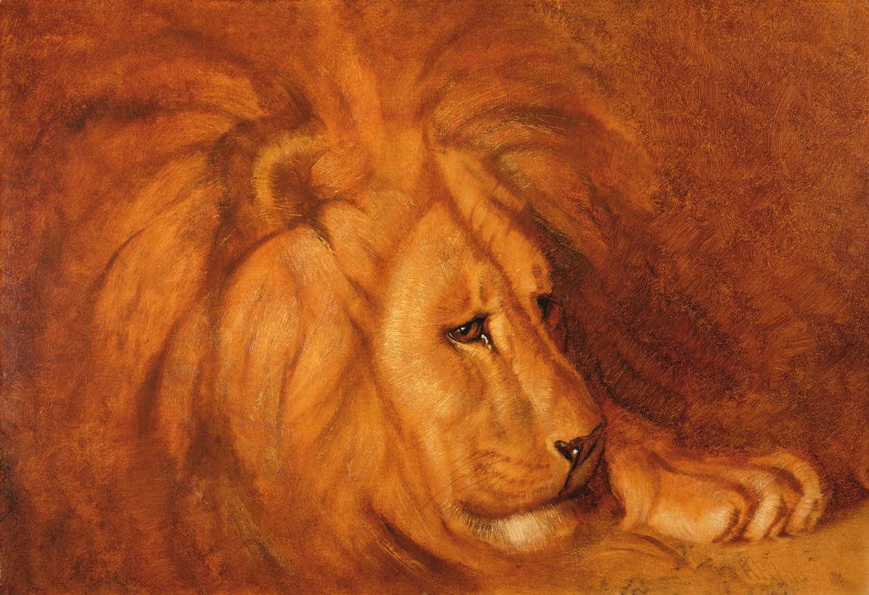 Leeuw in Rust door Abbott Handerson Thayer