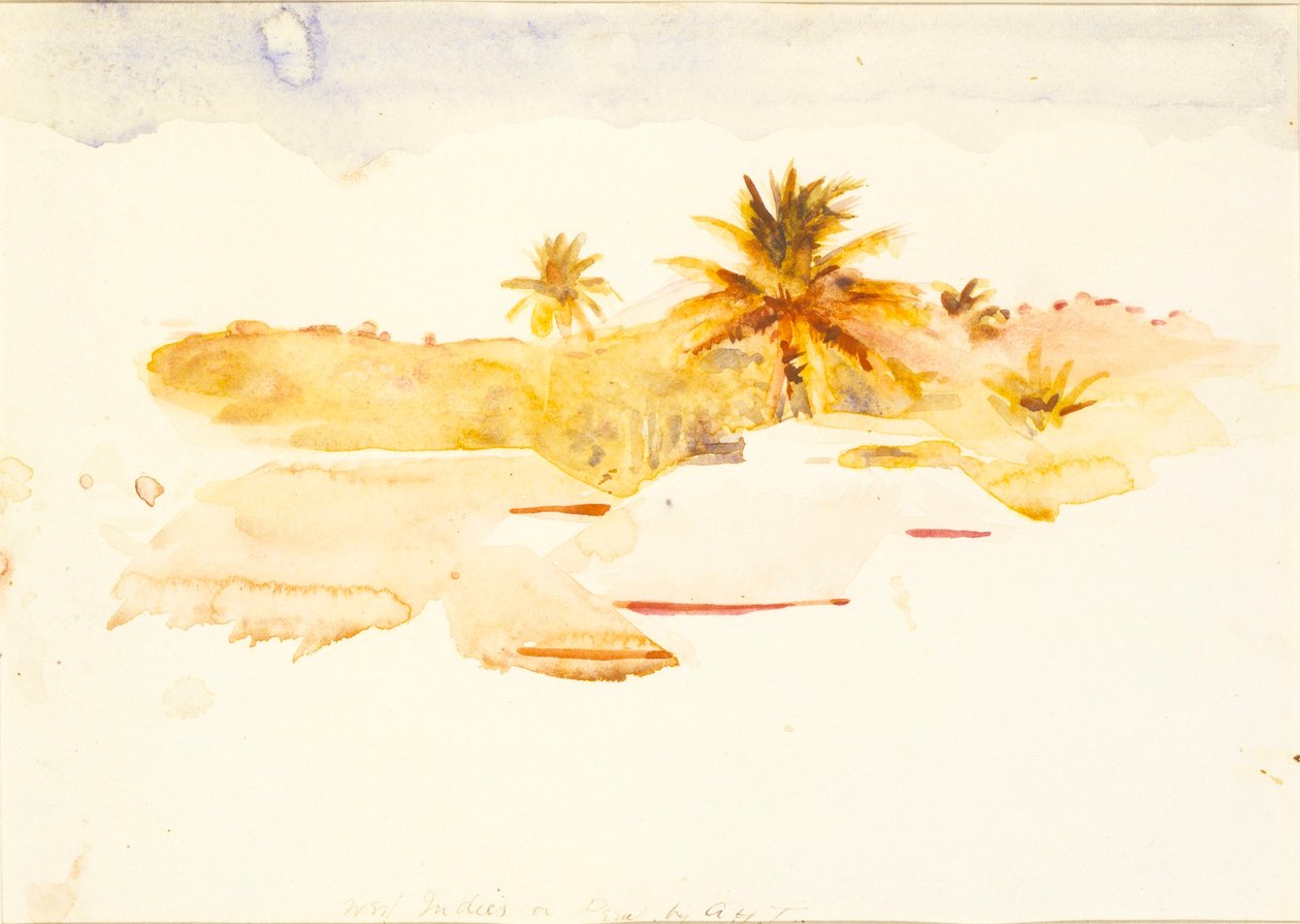 West-Indië door Abbott Handerson Thayer