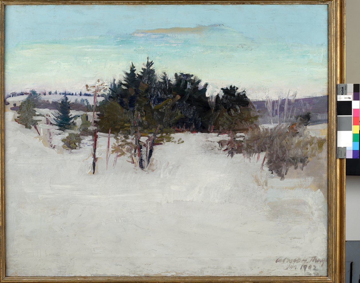 Winterlandschap door Abbott Handerson Thayer