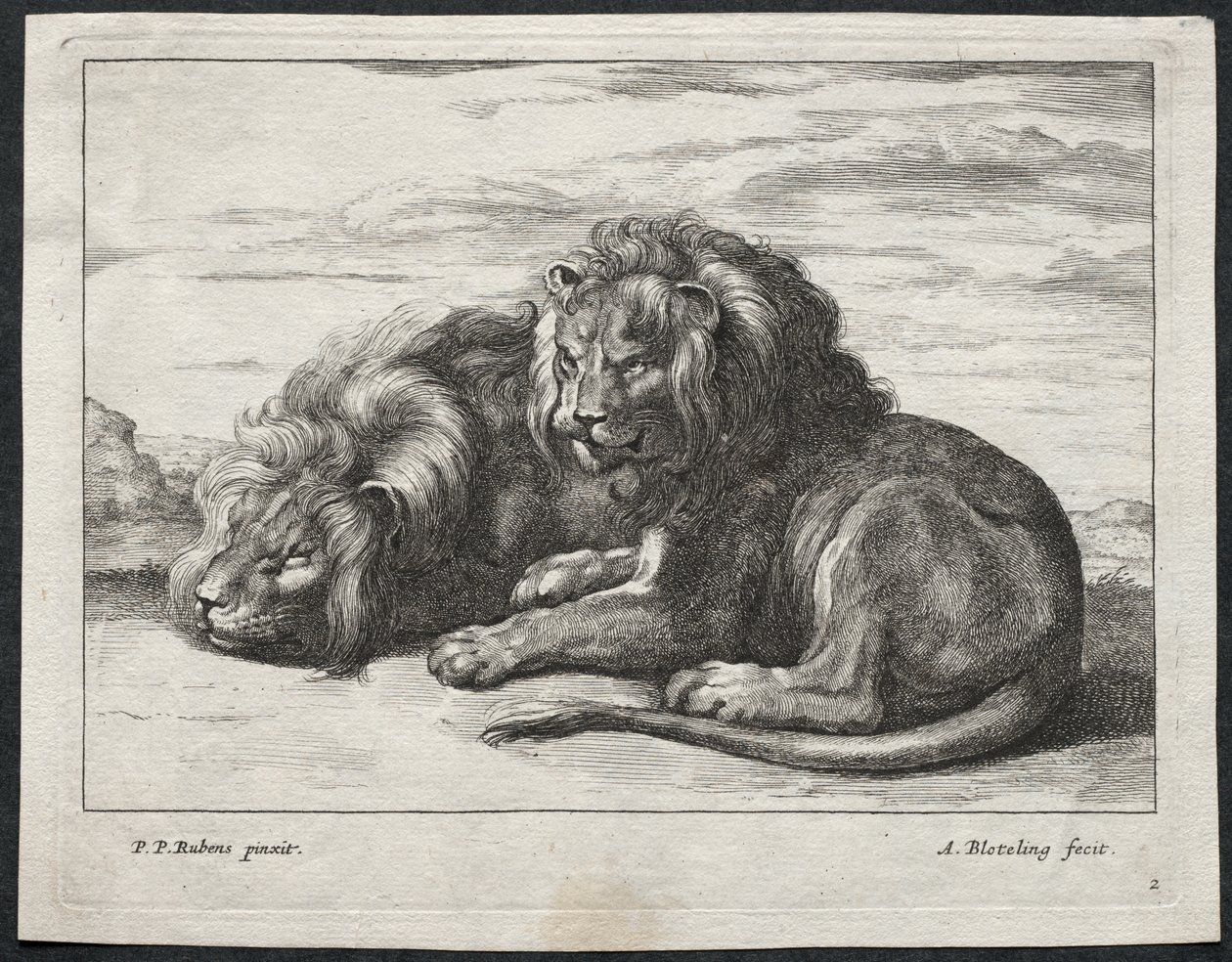 Verschillende Leeuwen door Abraham Blooteling