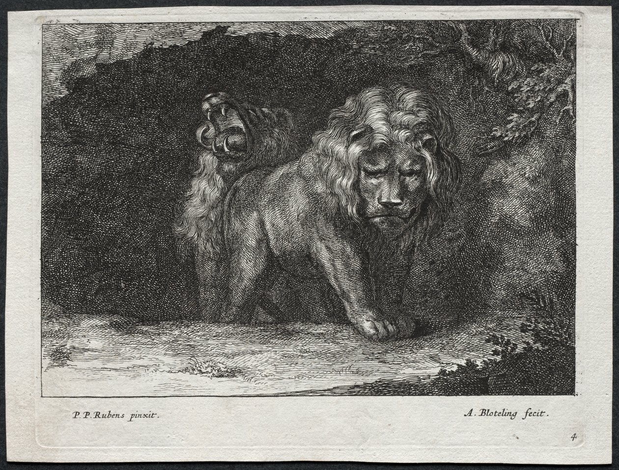 Verschillende Leeuwen door Abraham Blooteling