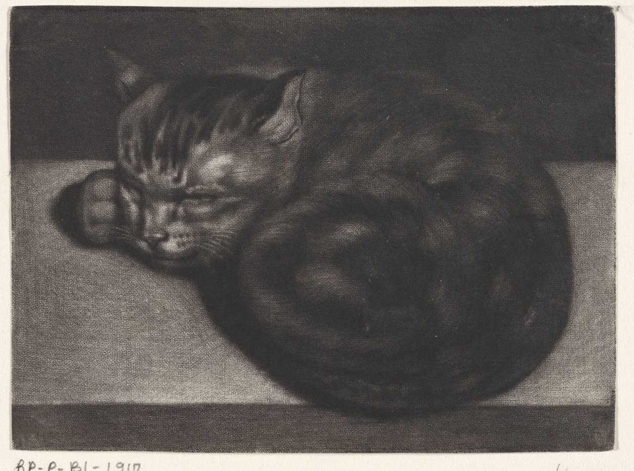 Slapende kat door Abraham Bloteling