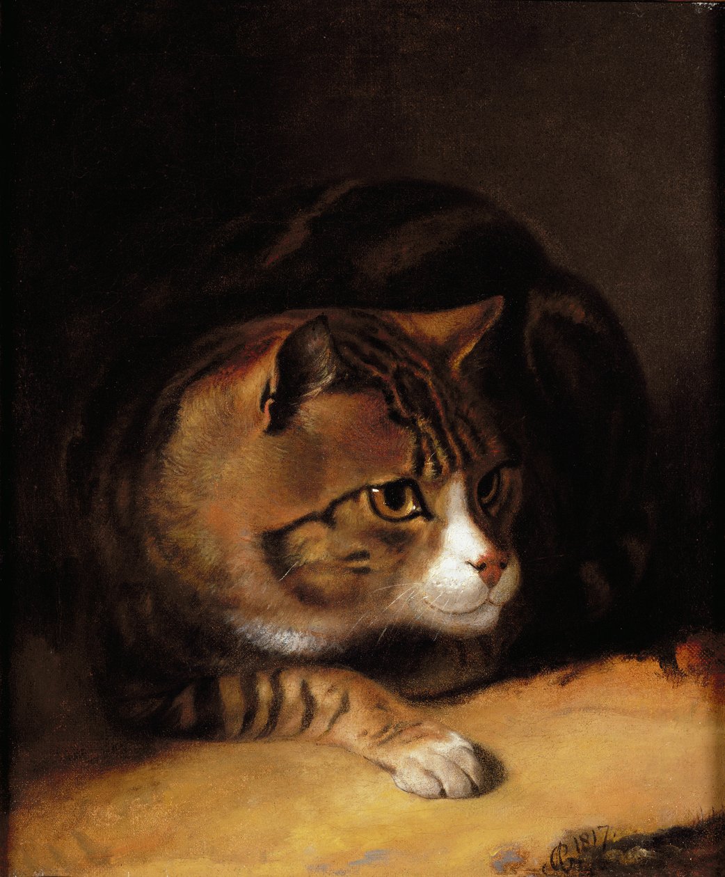 Een Cyperse Kat door Abraham Cooper
