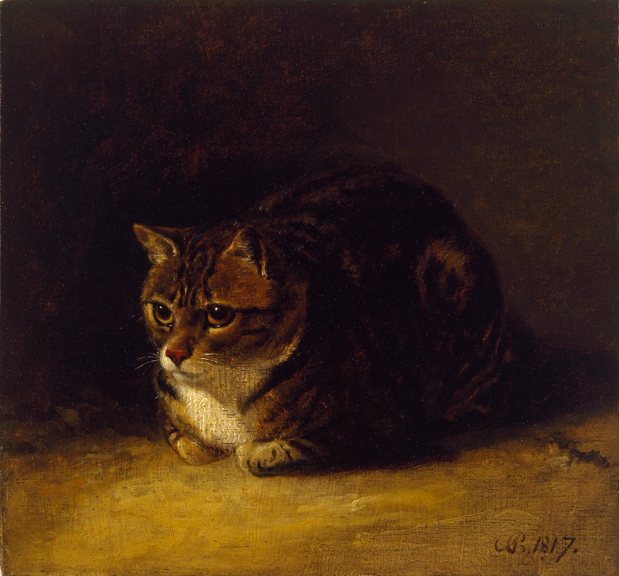 Studie van een Kat, 1817 door Abraham Cooper