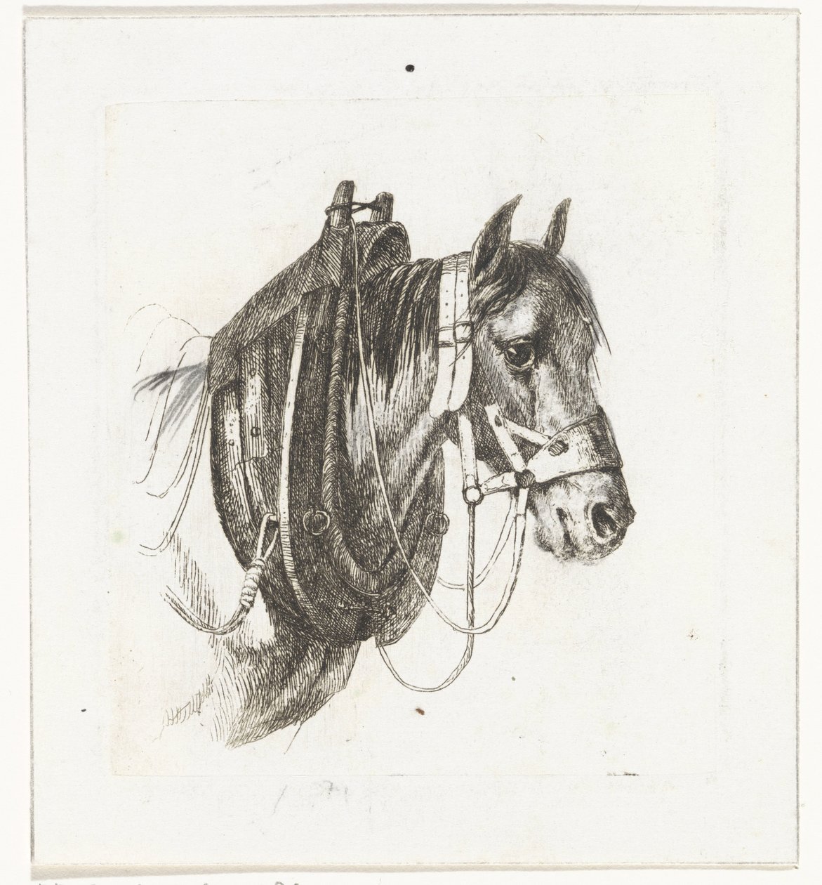 Paardenhoofd met hoofdstel, gareel en zadel door Abraham Hendrik Winter