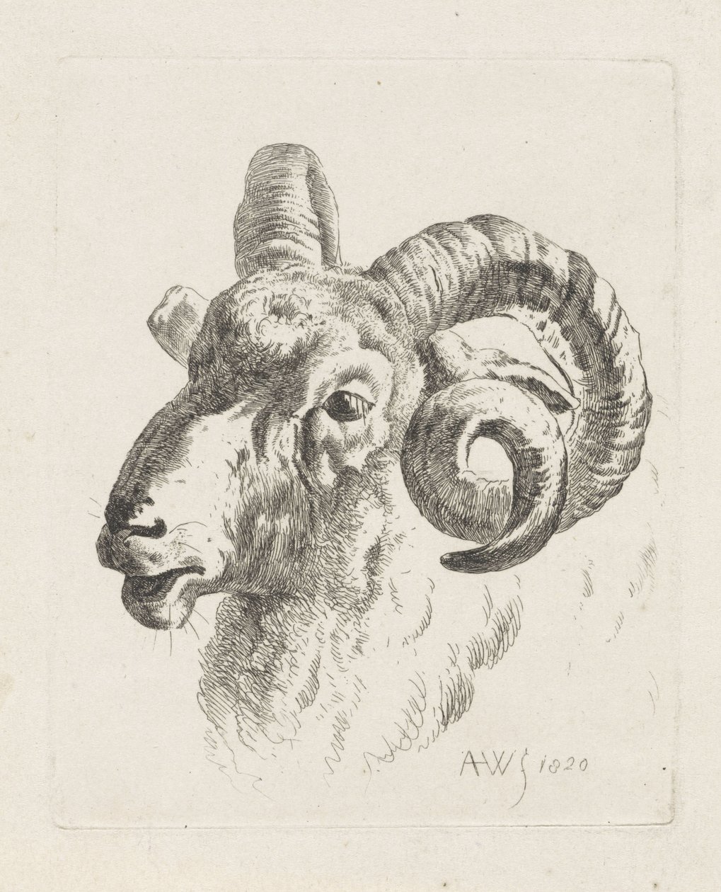Ramskop naar links door Abraham Hendrik Winter