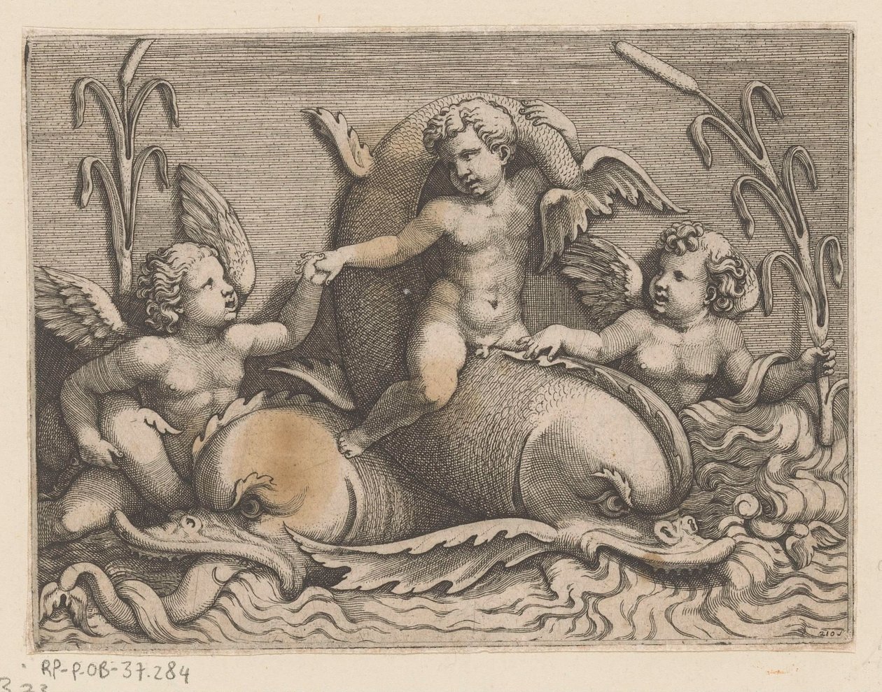 Drie putti met dolfijnen door Adamo Scultori