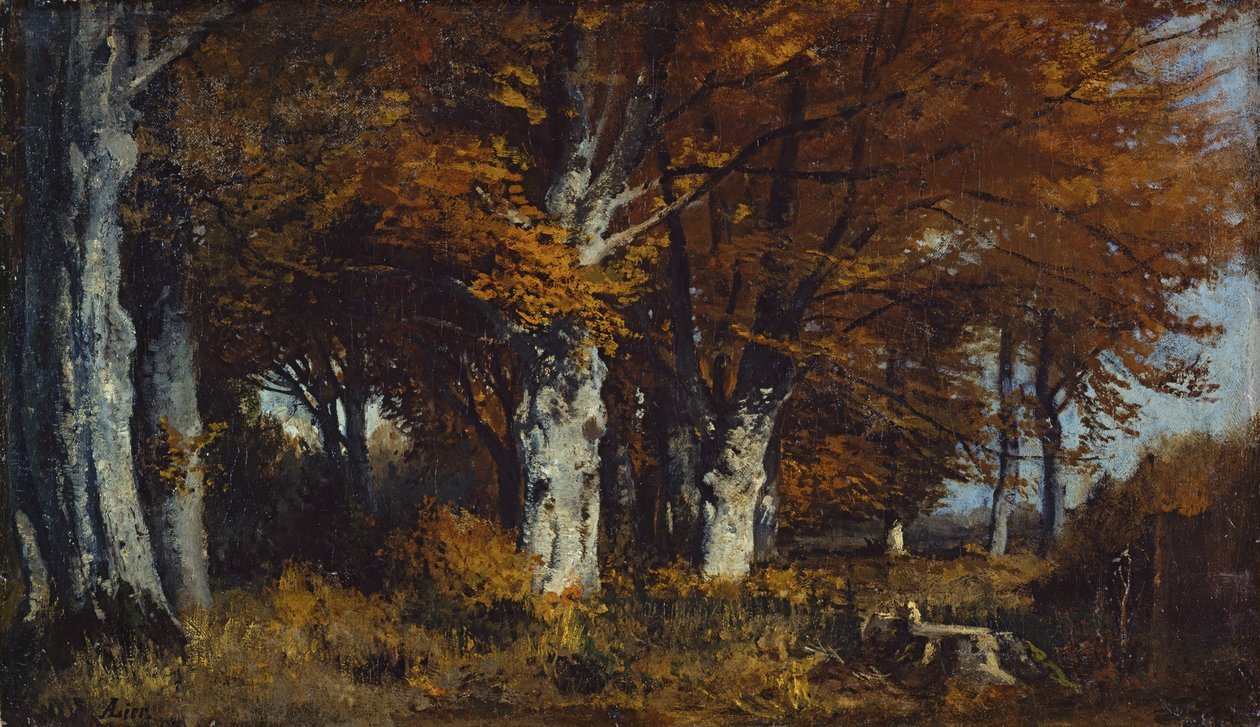 Beukenbos in de herfst door Adolf Heinrich Lier