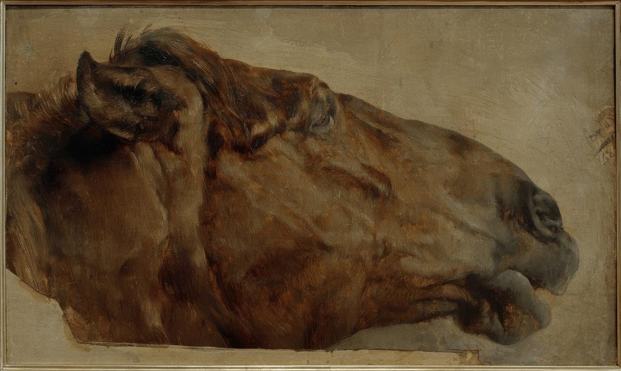 Paardenstudie. Hoofd in zijaanzicht naar rechts door Adolph Menzel