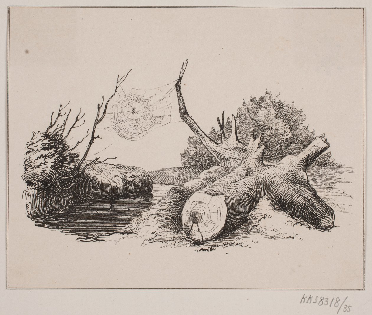 De Spin door Johan Adolph Kittendorff