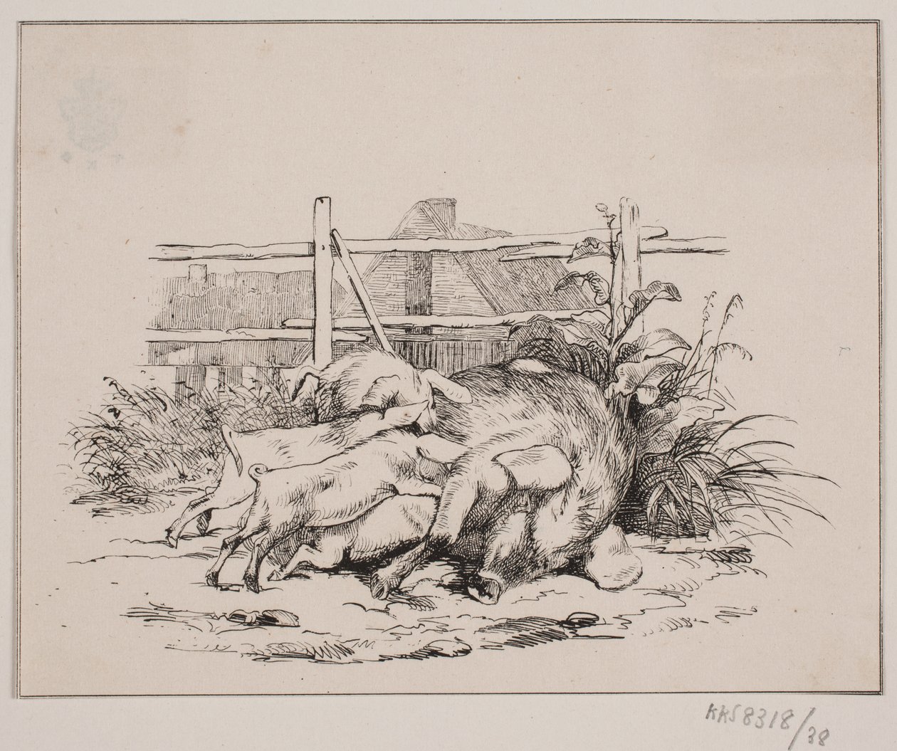 De Varkens door Johan Adolph Kittendorff