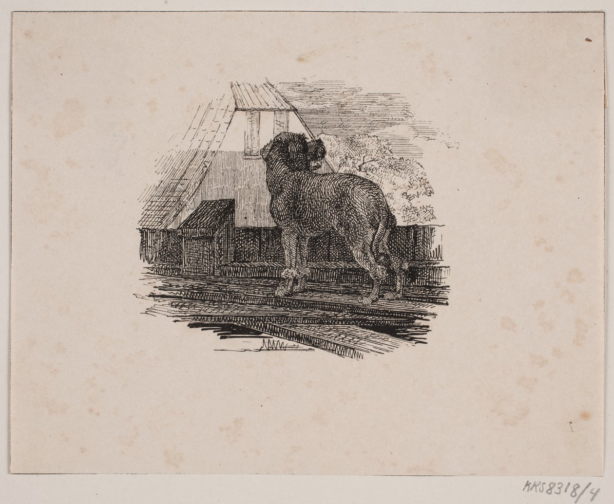 De poedel door Johan Adolph Kittendorff