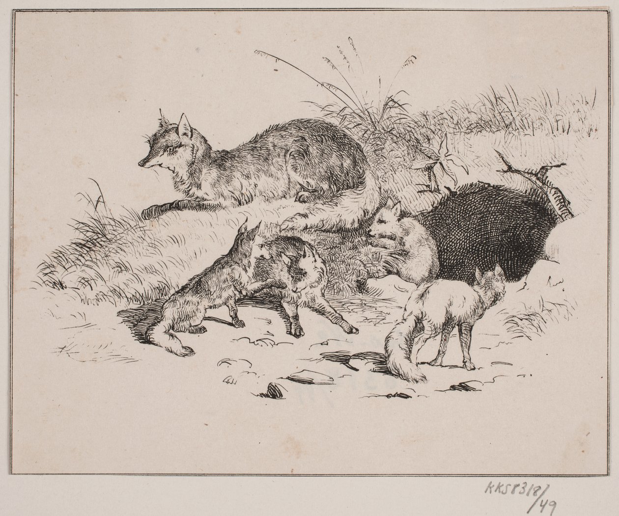 De Vos door Johan Adolph Kittendorff