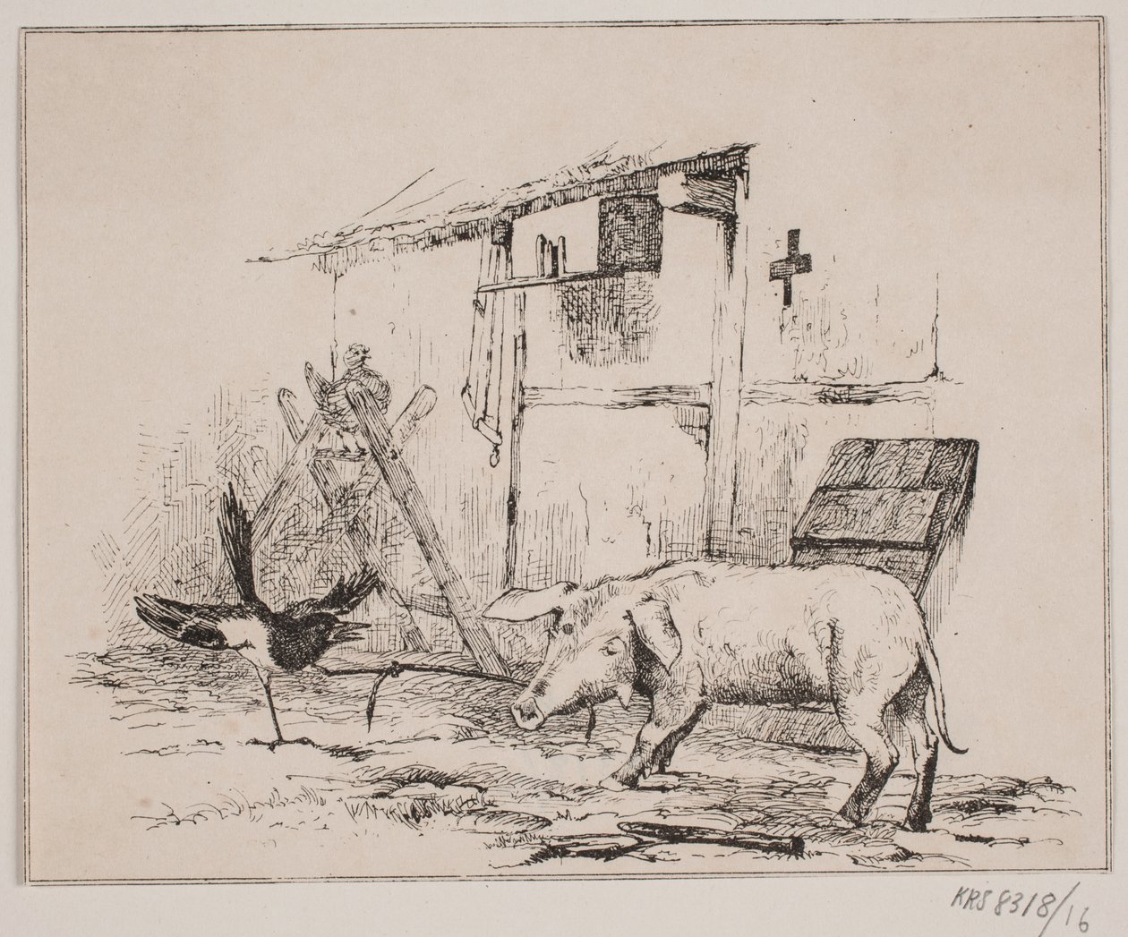 Skaden en het varken door Johan Adolph Kittendorff
