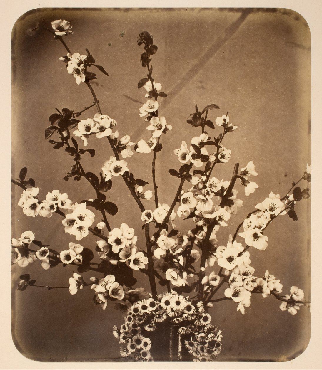 Bloemstilleven door Adolphe Braun