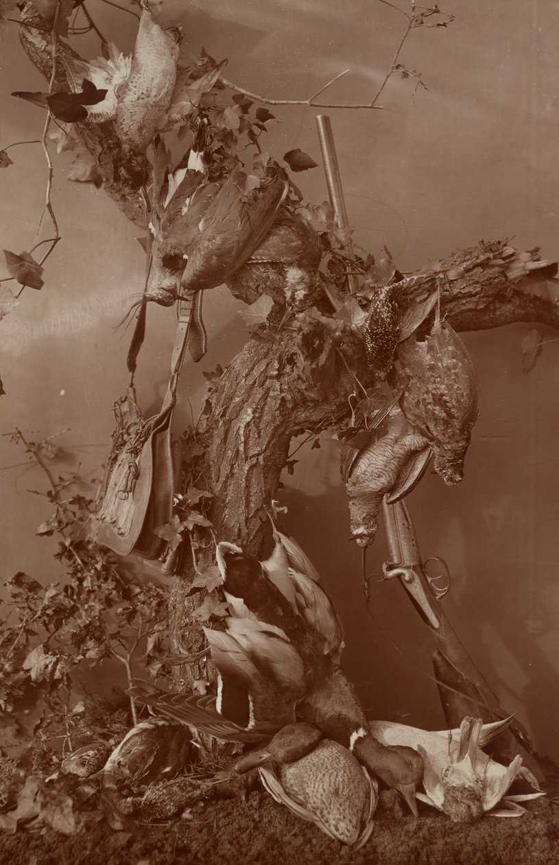 [Still Life: Dead Game]. door Adolphe Braun