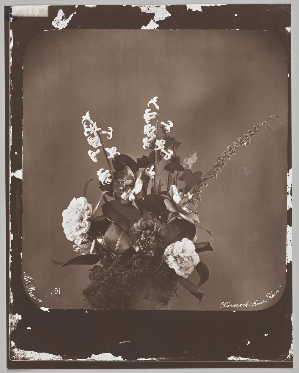 Zonder titel (bloemstuk) door Adolphe Braun