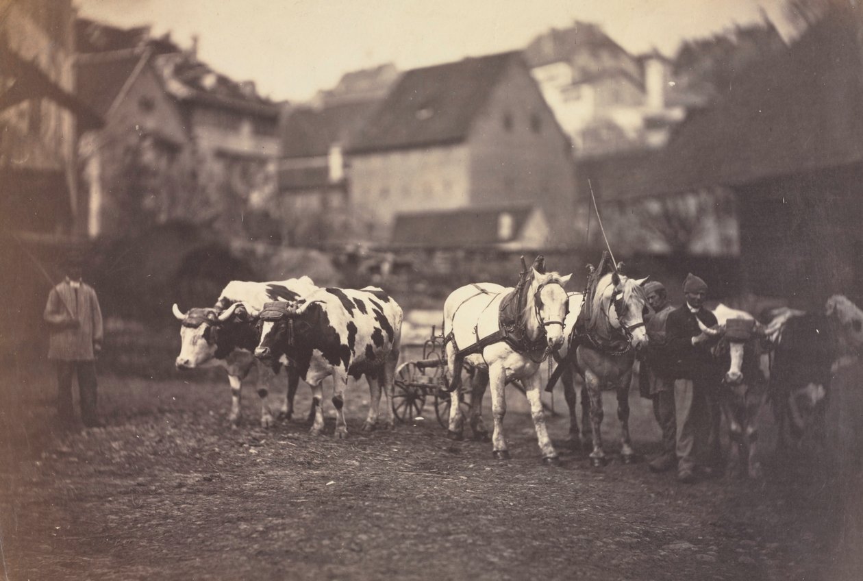 Zonder titel Boerderijdieren, 1850s door Adolphe Braun