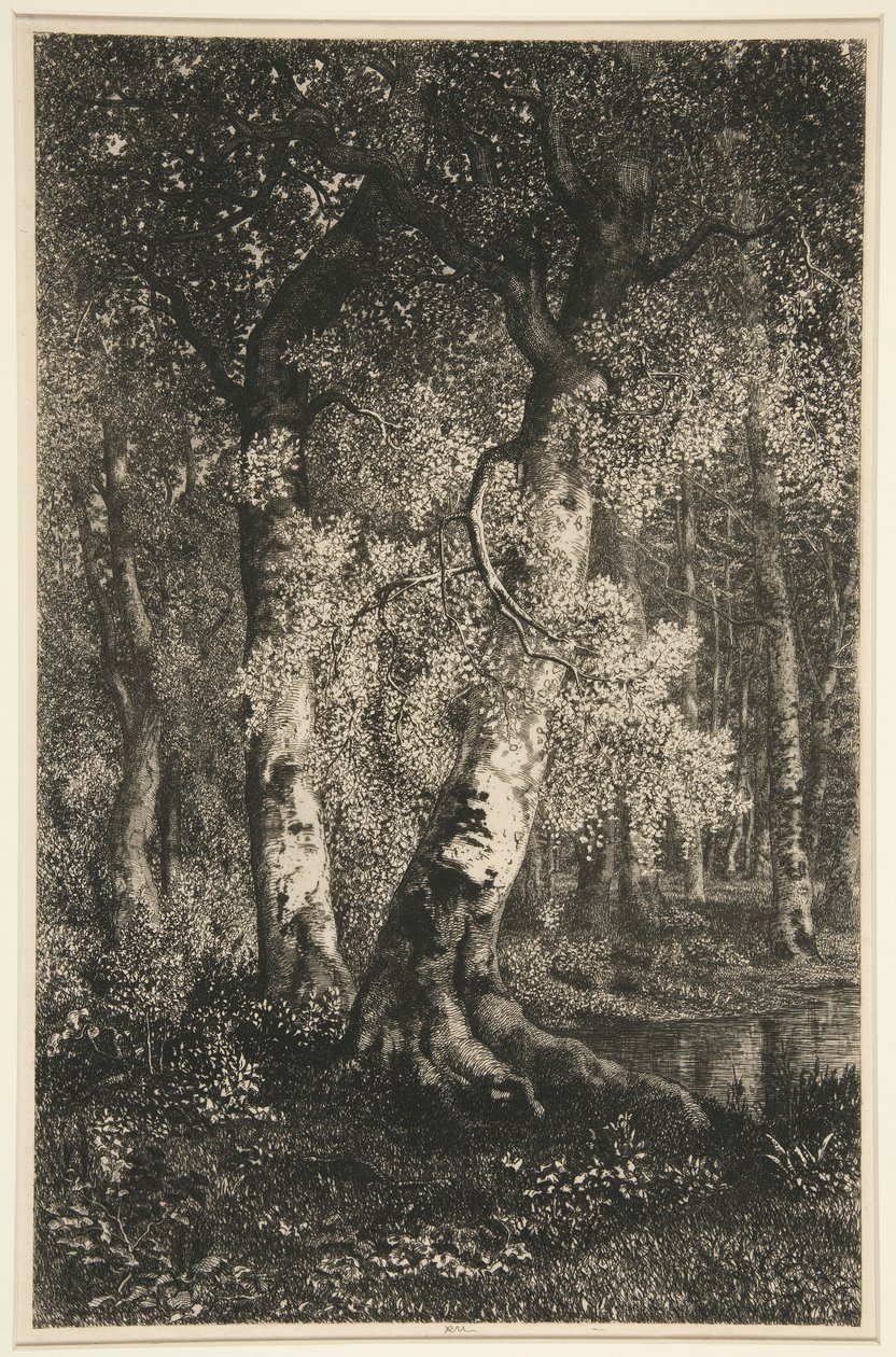 De Beuken door Adolphe Martial Potemont