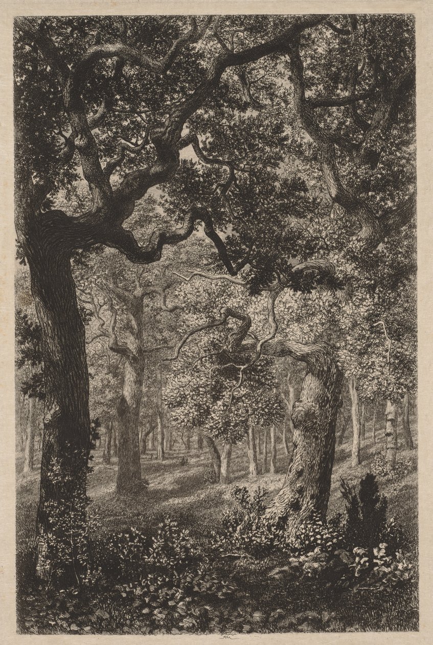 In het Bos door Adolphe Théodore Jules Martial Potémont