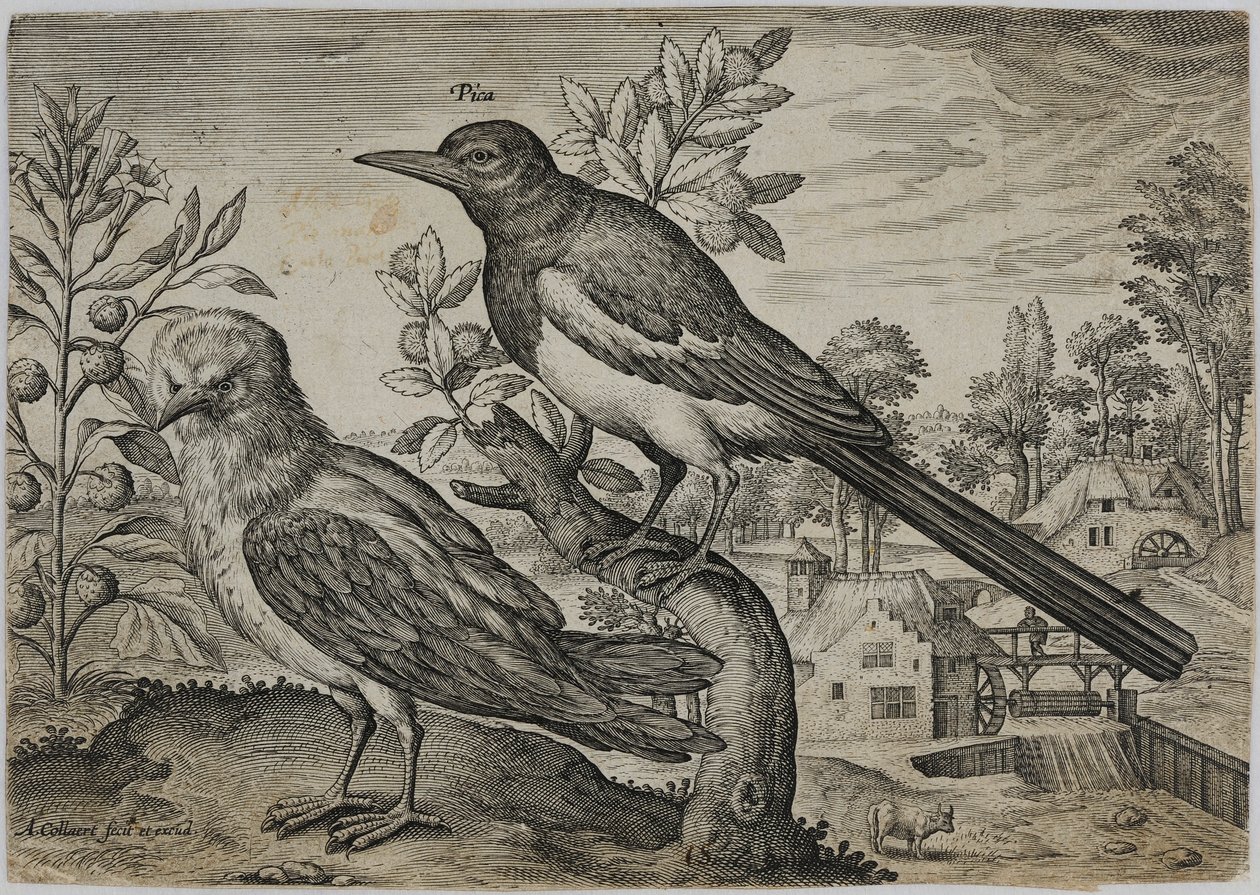 Oude Meester Gravure door Adriaen Collaert