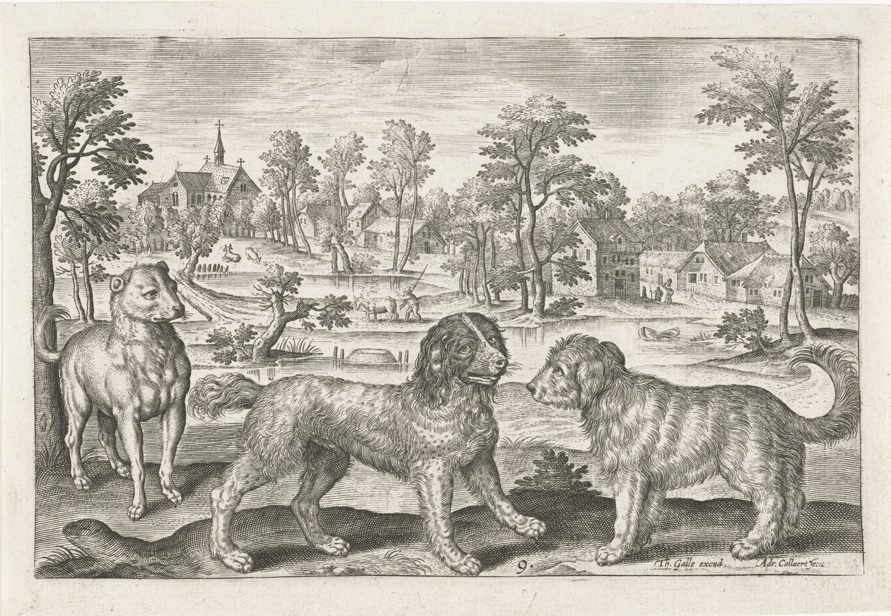 Honden door Adriaen Collaert