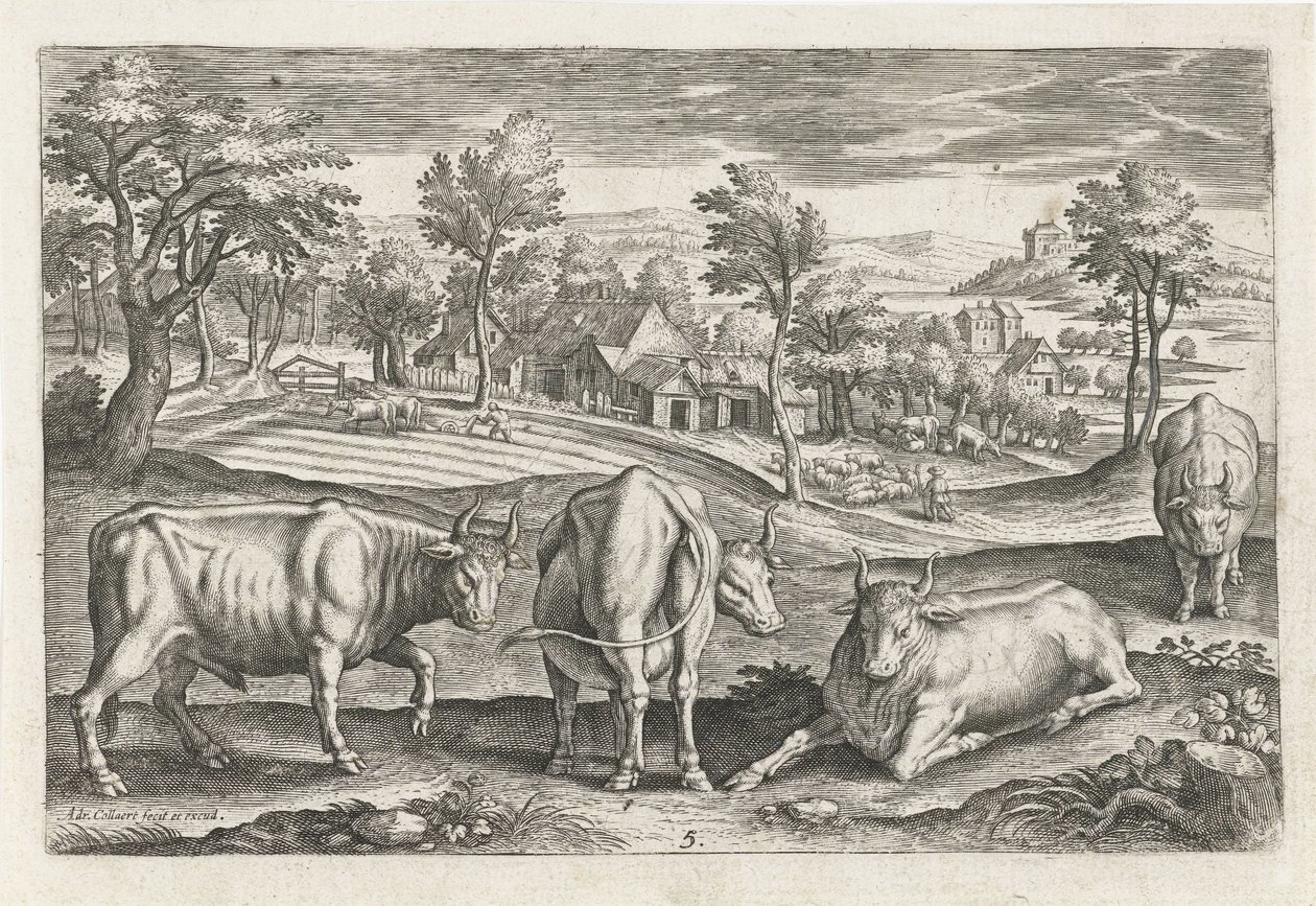 Runderen door Adriaen Collaert