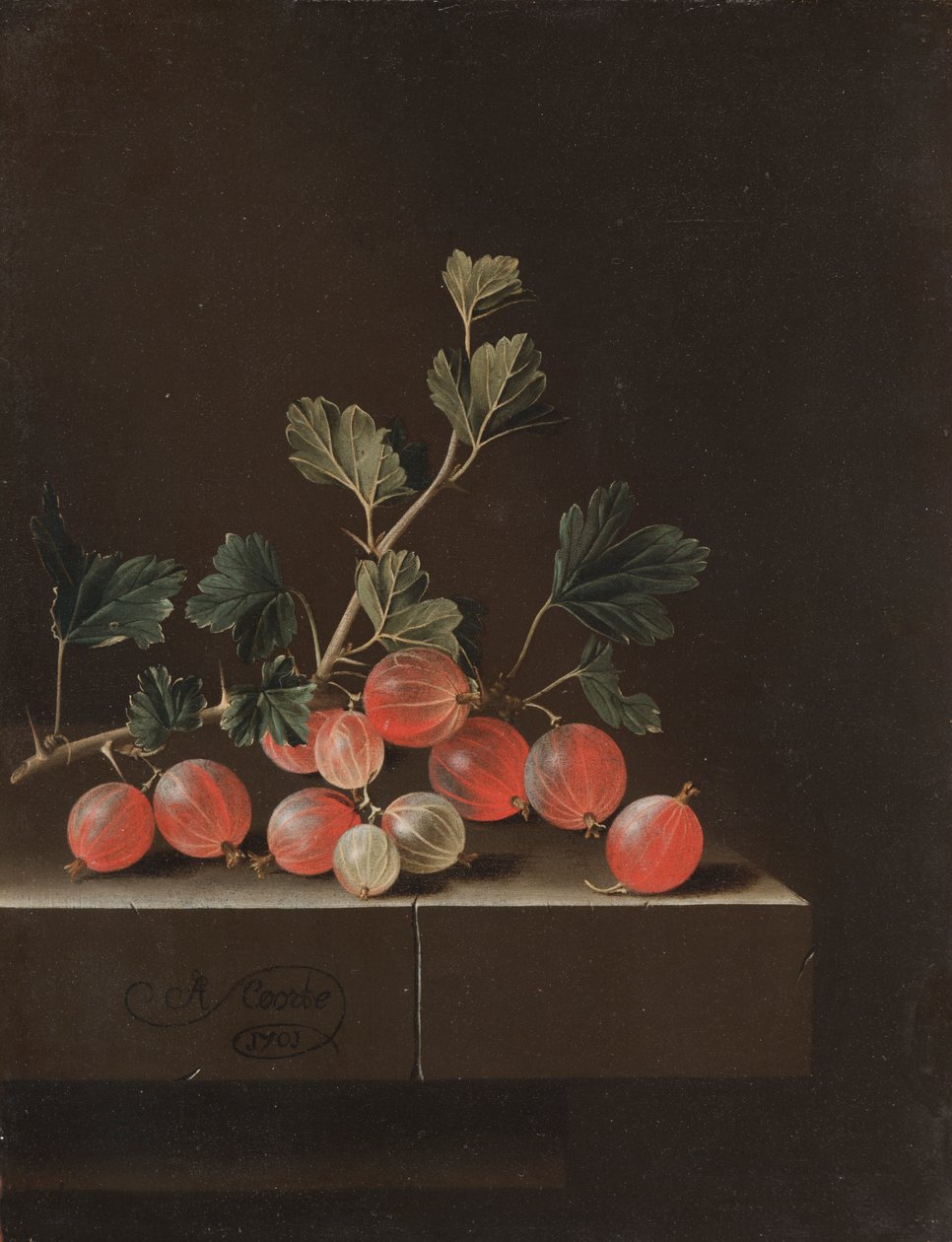 Kruisbessen op een Tafel, 1701 door Adrian Coorte