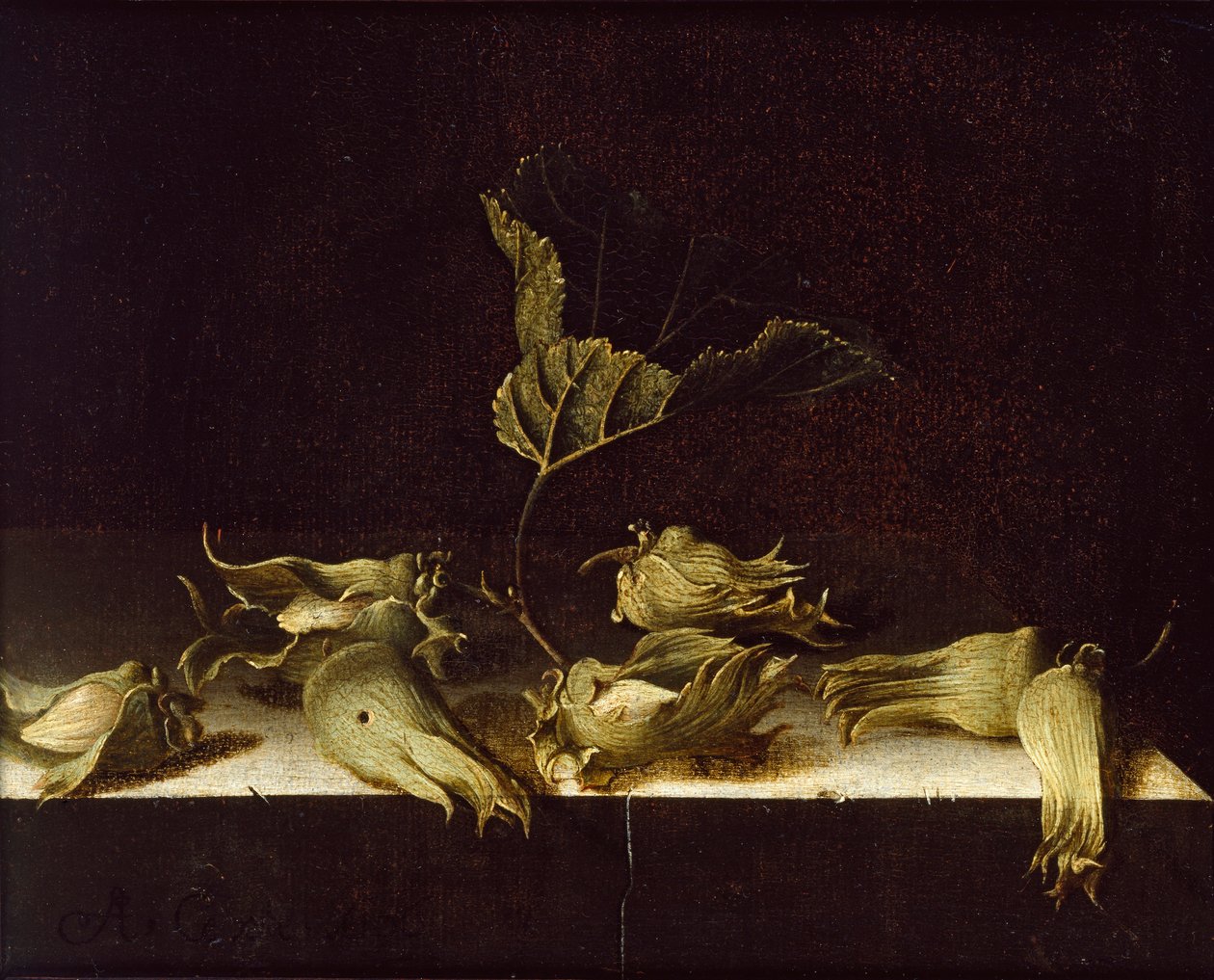 Stilleven met hazelnoten, 1696 door Adrian Coorte