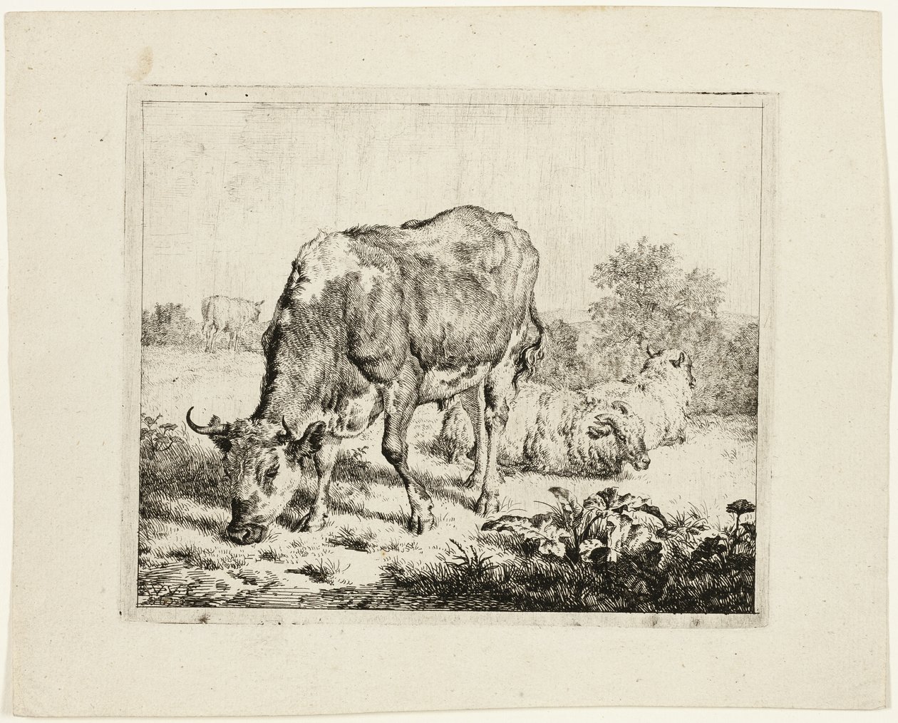 Stier grazend en drie schapen door Adriaen van de Velde