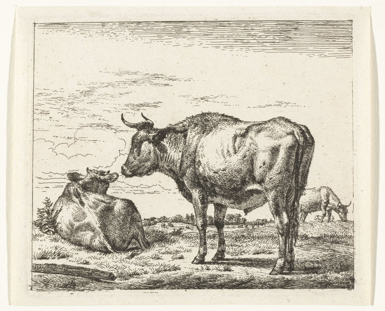 Staande stier door Adriaen van de Velde